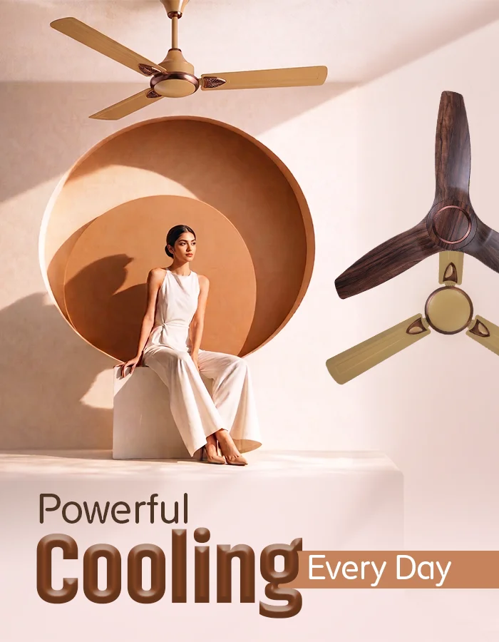 FAN 900x700